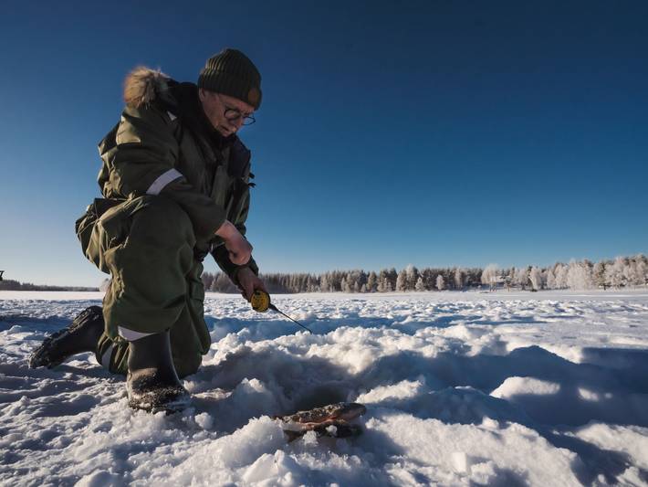 Lystikämän elämys in Rovaniemi, Lappland