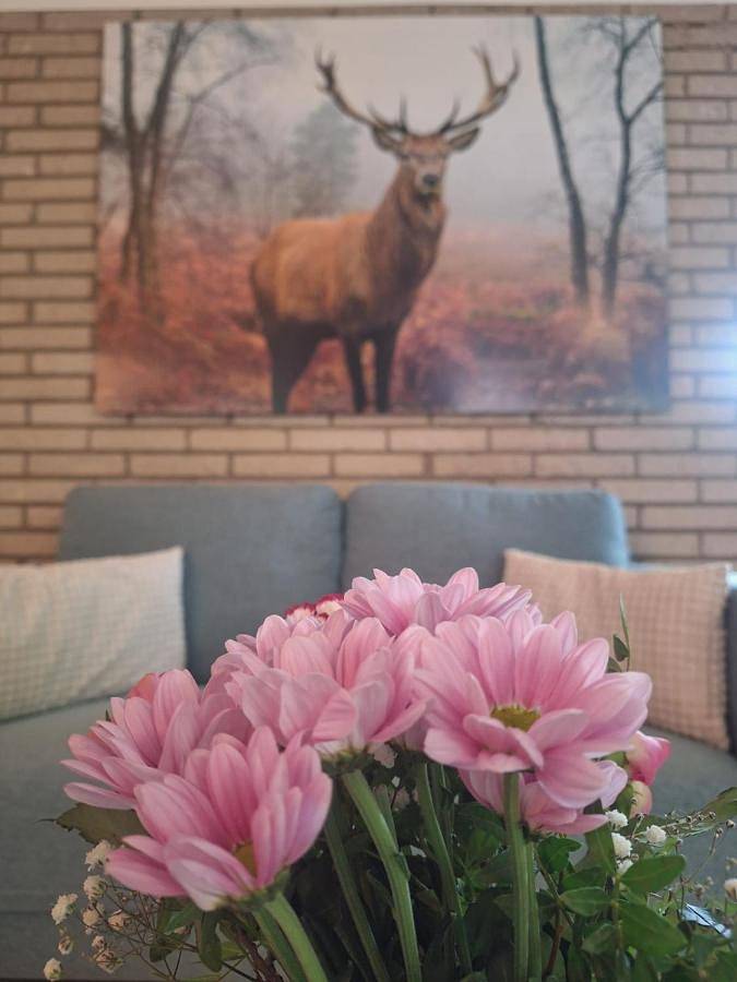 Filter.pet.vacation_home für 4 Personen, mit Terrasse und Garten sowie Ausblick in Gerolstein - 4