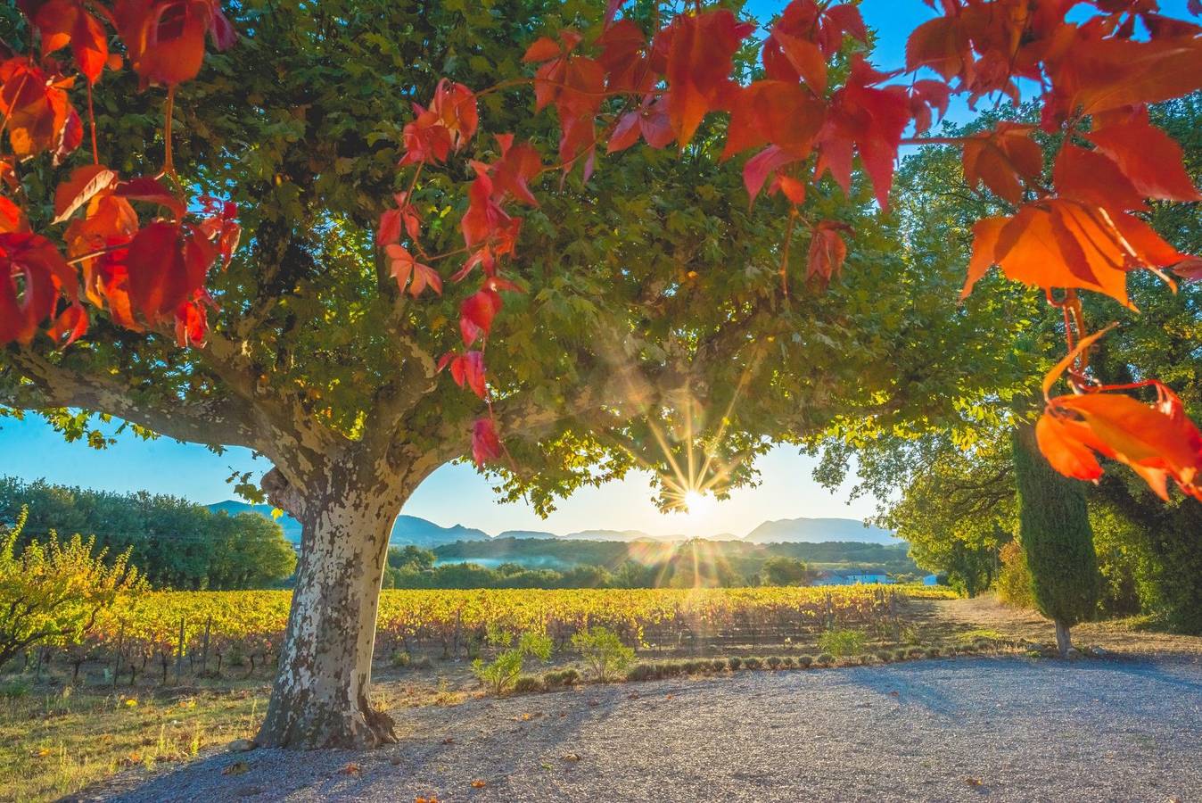 Gîte La Planchette, en Provence in Saint-Romain-en-Viennois, Parc naturel régional du Mont-Ventoux