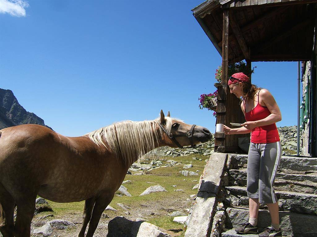 Junior Suite Alpenhotel Stammhaus in Mallnitz, Lieser-Maltatal