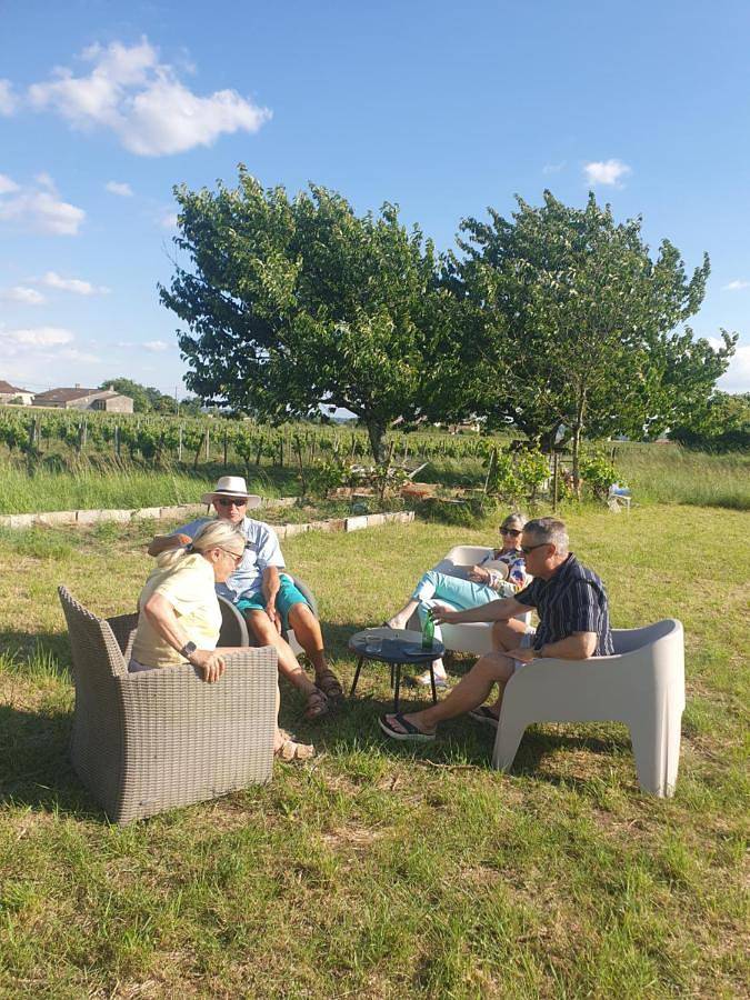 Gîte pour 12 personnes, avec vue et jardin, animaux acceptés à Saint-Sulpice-de-Faleyrens - 4