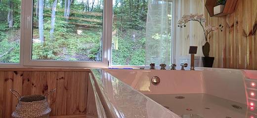 Gîte pour 2 personnes, avec sauna et jacuzzi ainsi que jardin et terrasse dans Deva (Roumanie)