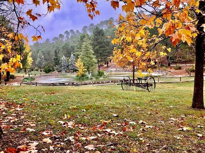 Casa rural para 6 personas, con vistas al lago y vistas además de piscina y jardín en Riopar (rio Mundo) - 4