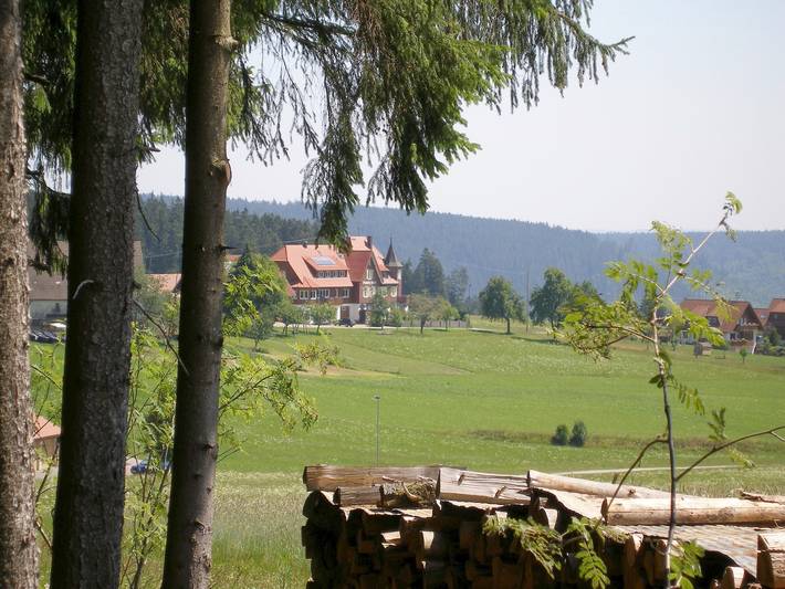 Pension Mast - Einzelzimmer mit Dusche in Igelsberg, Freudenstadt