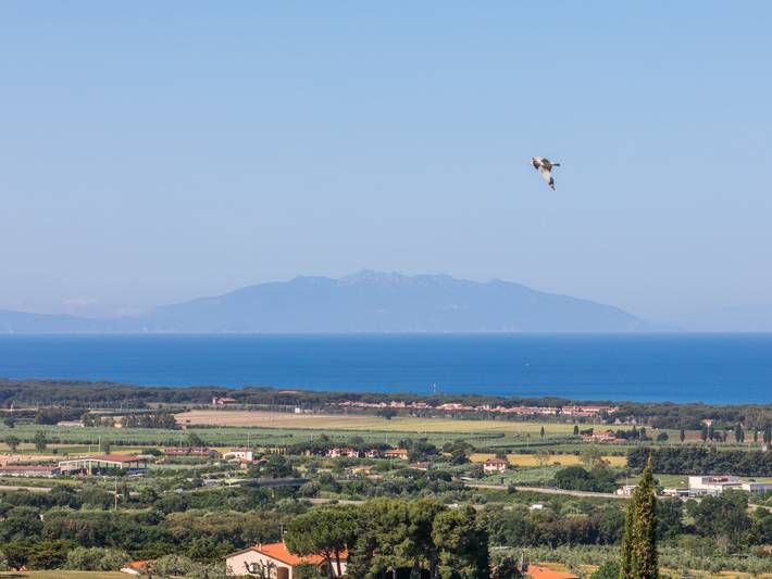 Ferienhaus für 6 Personen, mit Balkon und Garten in San Vincenzo - 3