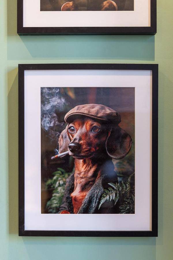 Gîte pour 2 personnes, avec vue et jardin dans Gare De Toulouse Matabiau - 4