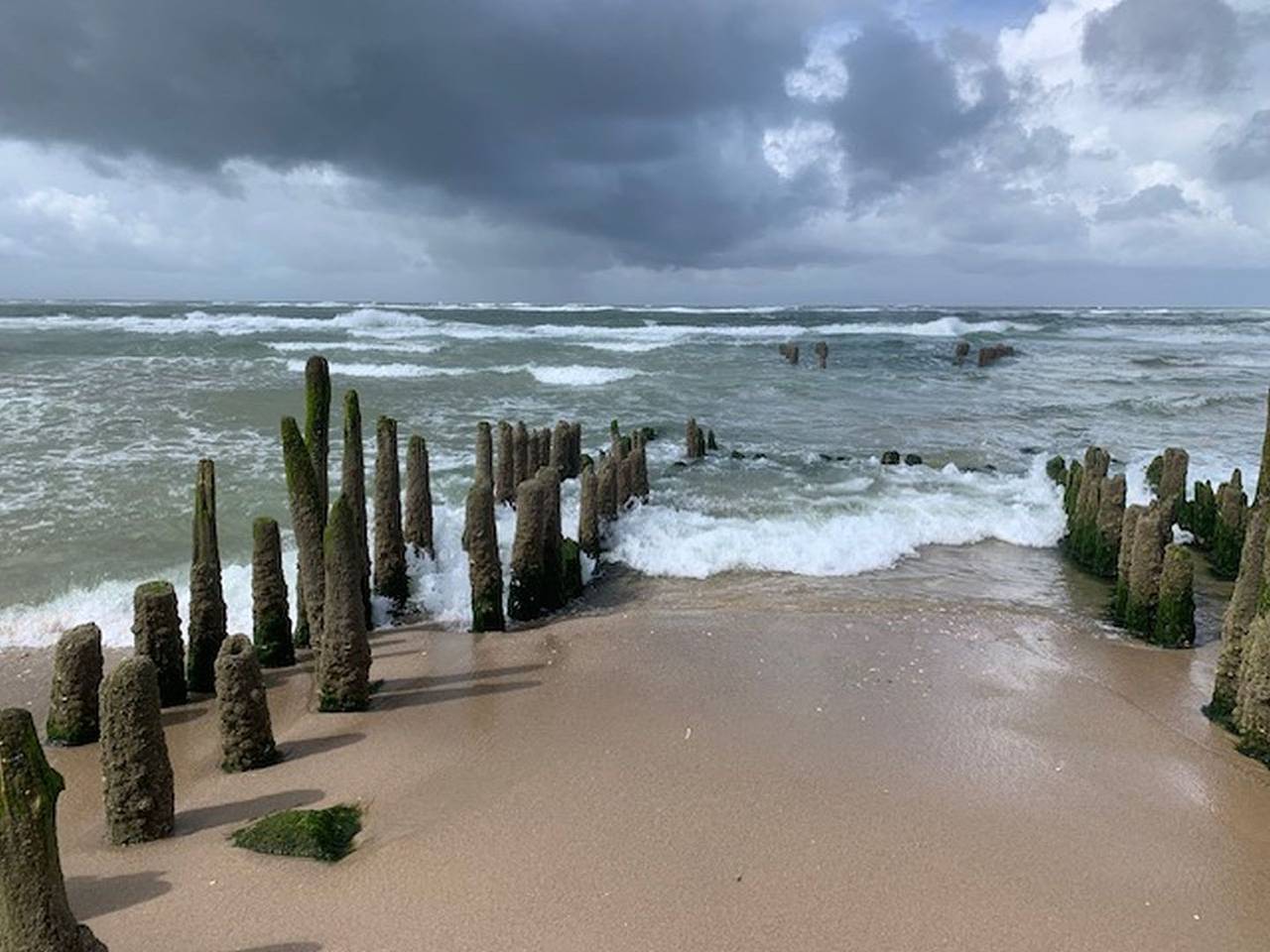 Ganze Wohnung, , Watt`n Glück, Wohnung 08 in Rantum, Sylt (Gemeinde)