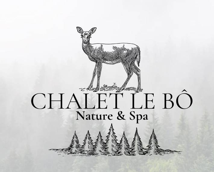 Chalet pour 15 personnes, avec sauna et jacuzzi ainsi que jardin et piscine à Bussang - 2