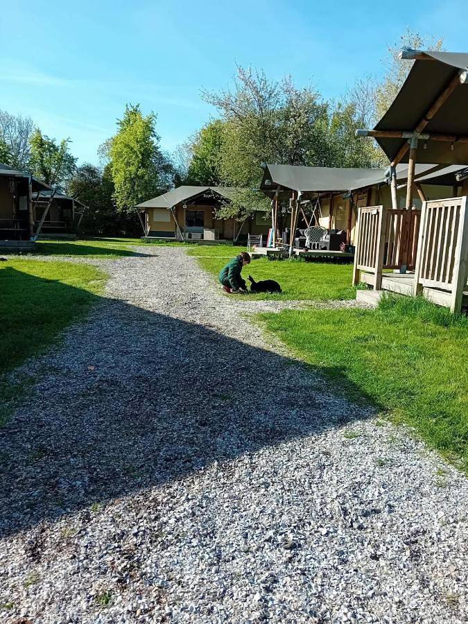 Luxe Safaritent in Grou in Nationaal Park De Alde Feanen