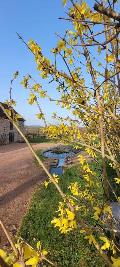 Location de vacances pour 6 personnes, avec vue et jardin, animaux acceptés à La Guiche - 2