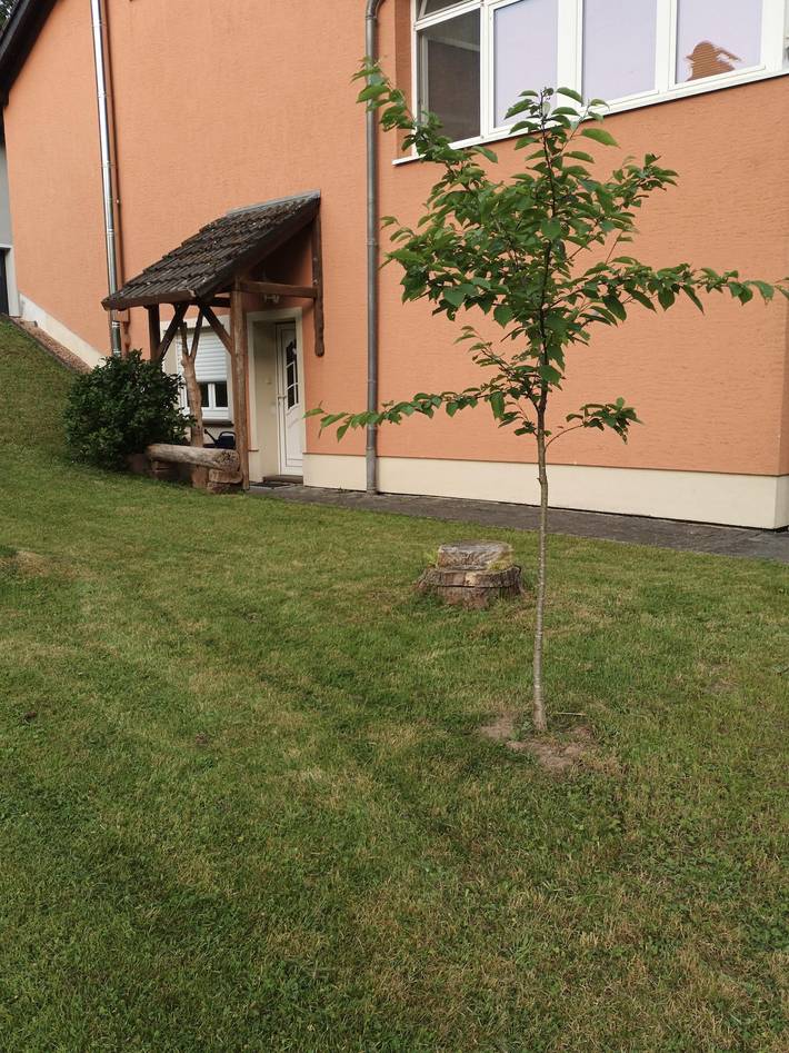 Ganze Ferienwohnung, 2-Bett-Ferienwohnung Dusche/Wc, 1 Schlafraum in Roth an der Our, Eifelkreis Bitburg-Prüm