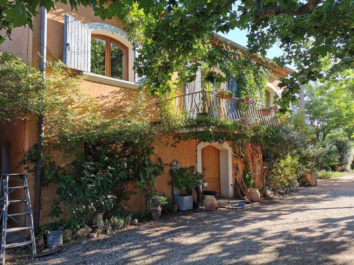 Les anes de petit jean in Pierrefeu-du-Var, Côte méditerranéenne (France)