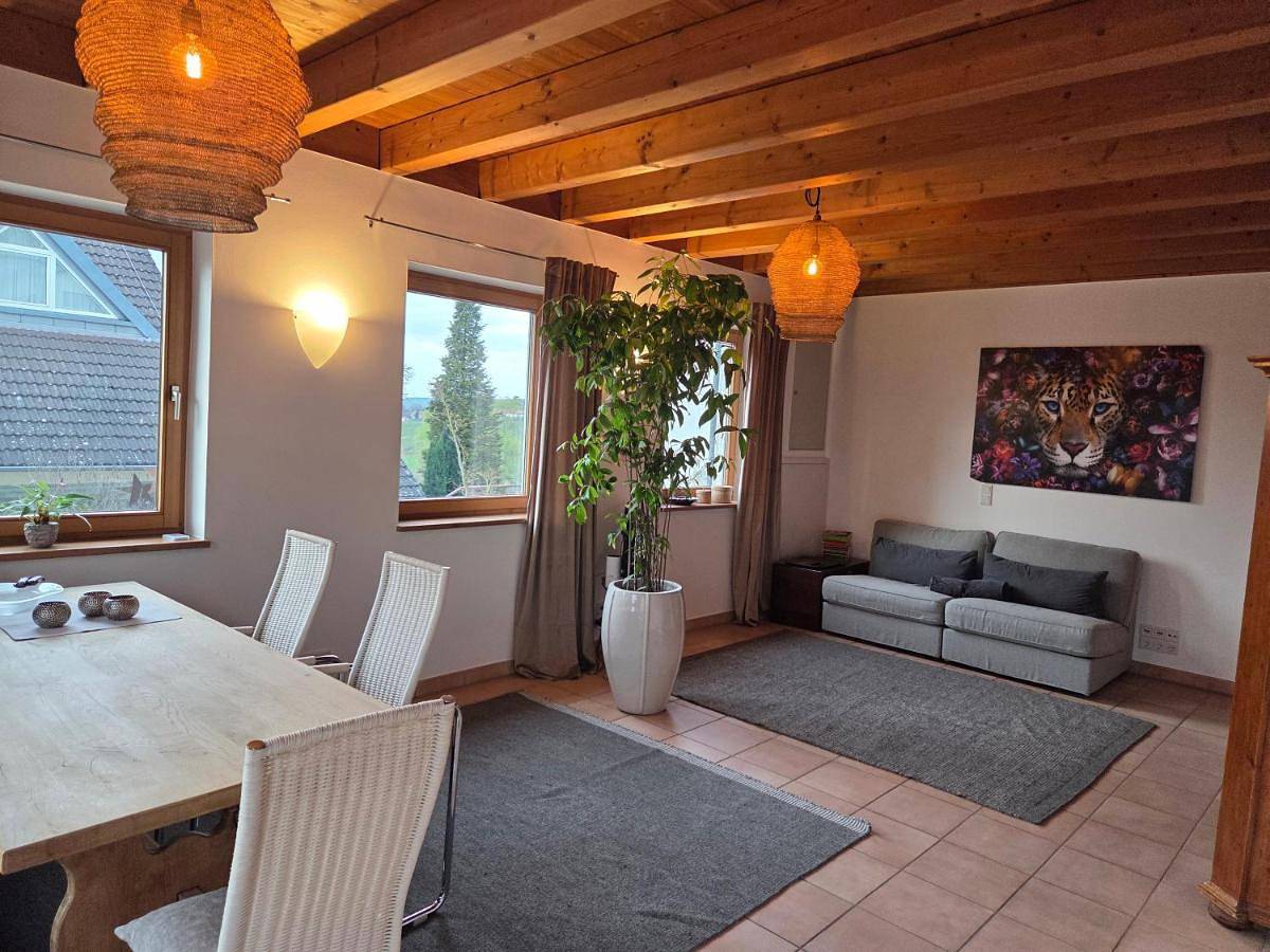 Appartement entier, Gemütliche Wohnung mit Terrasse mit tollem Fernblick in Alzenau, Spessart-Mainland