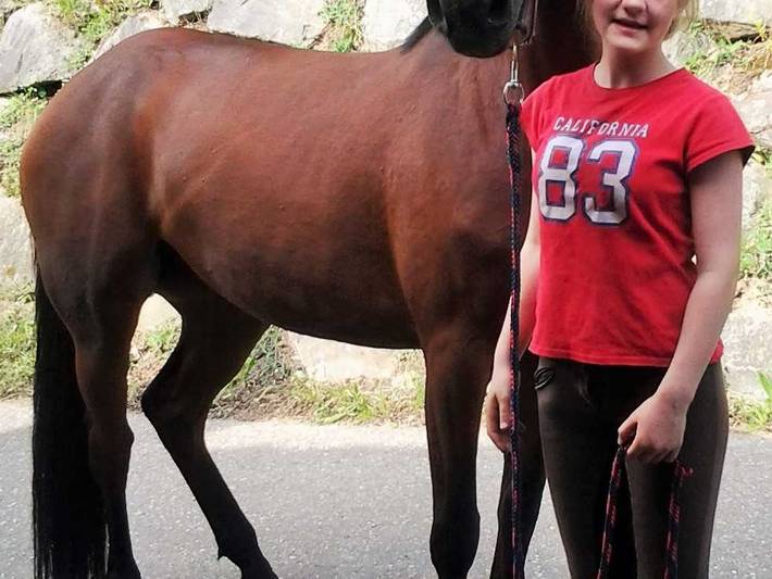 Ferienwohnung für 5 Personen, mit Terrasse und Garten, kinderfreundlich in Schuttertal - 4