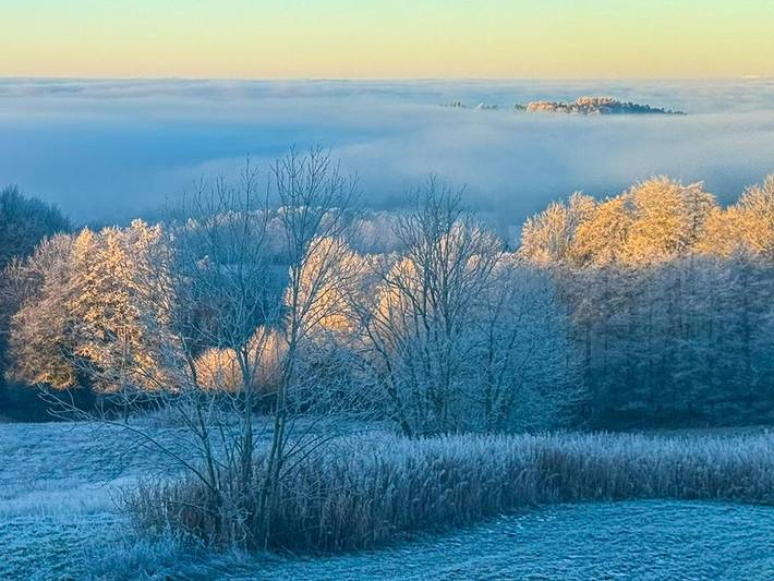 Ferienhaus für 3 Personen, mit Garten, kinderfreundlich in Landkreis Freyung-Grafenau - 3
