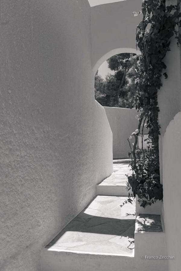 Maison d’hôte pour 2 personnes, avec jardin dans Égine - 3