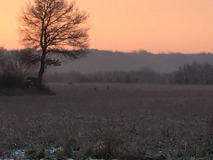Ferienwohnung für 3 Personen in Taarstedt - 4
