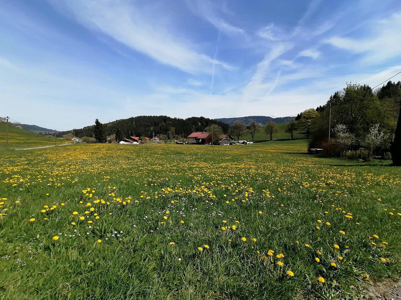 Ferienhaus Allgäu-Haisle - Ferienwohnung im Erdgeschoss mit Terrasse in Grünenbach, Bayerisch Schwaben