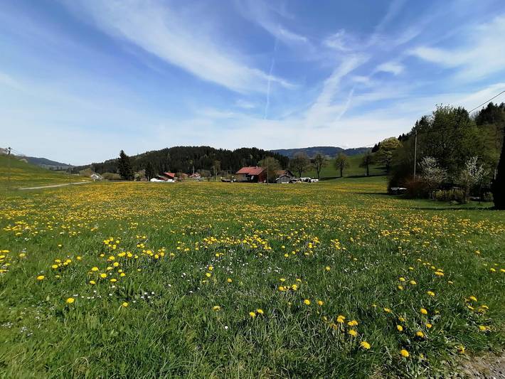 Ferienhaus für 6 Personen, mit Terrasse und Pool sowie Garten, mit Haustier in Landkreis Lindau - 3