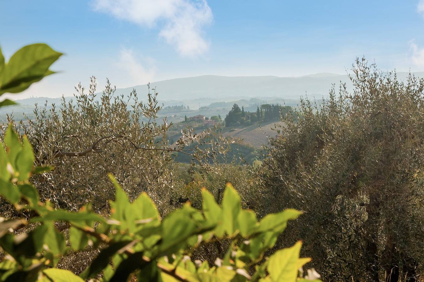 Casa Vacanze 'Il Piccolo Borgo' per 7 Ospiti con Piscina in Comune, Wi-Fi e Aria Condizionata in Gorgognano, Certaldo