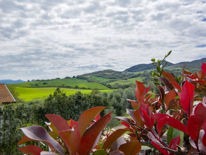 Appartamento intero, Giallo in Lajatico, Pisa e dintorni