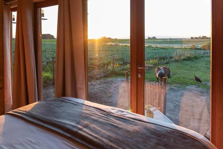 Maison de campagne pour 2 personnes, avec jardin ainsi que vue et terrasse à Torhout - 3