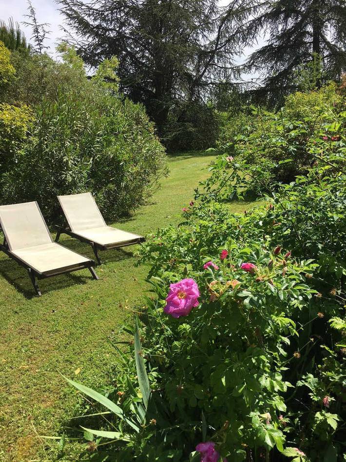 Gîte pour 2 personnes, avec Terrasse et Jardin à Labastide-de-Lévis - 4