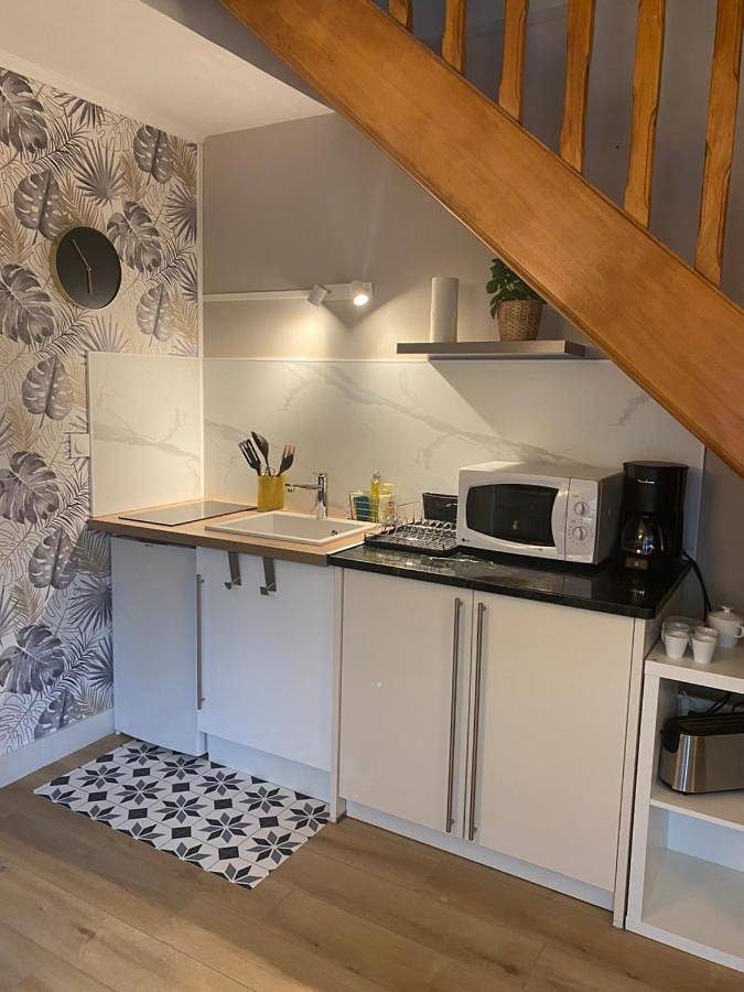 Maison d’hôte pour 2 personnes, avec terrasse et jardin à Reims - 3