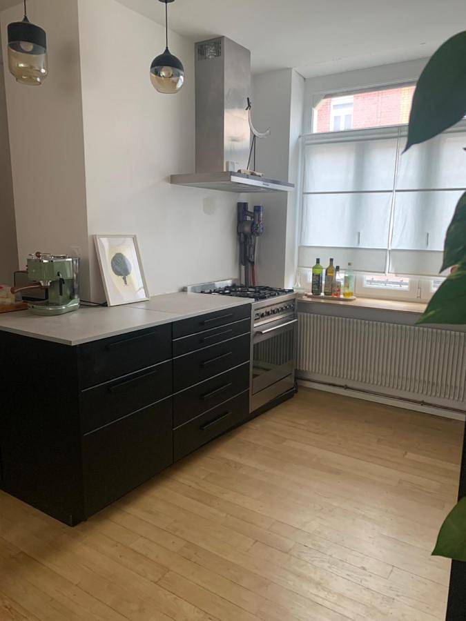 Location de vacances pour 8 personnes, avec jardin et jacuzzi à Lille - 3