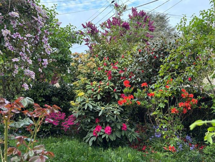 Location de vacances pour 9 personnes, avec sauna et jardin à Sainte-Adresse - 2