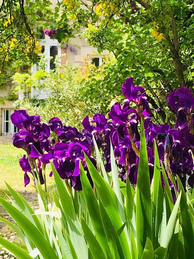 La Maison des Roses in Moulins, Allier