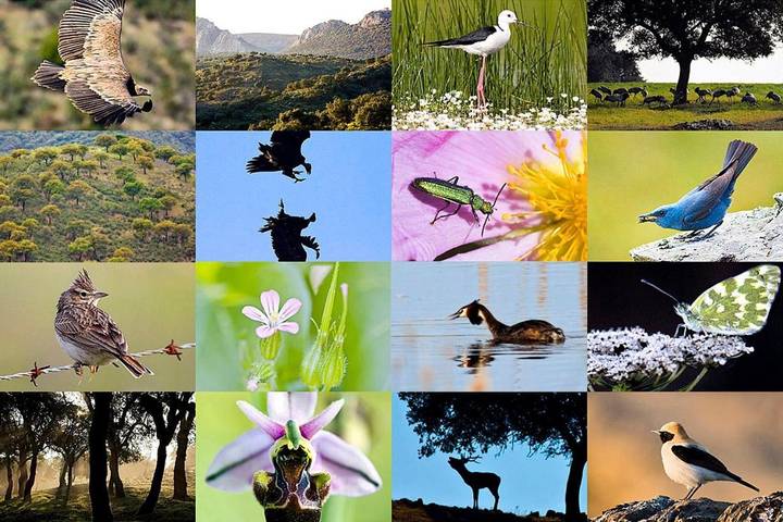 Casa rural para 11 personas, con vistas y jardín, Se admiten mascotas en Parque Nacional de Monfragüe - 3