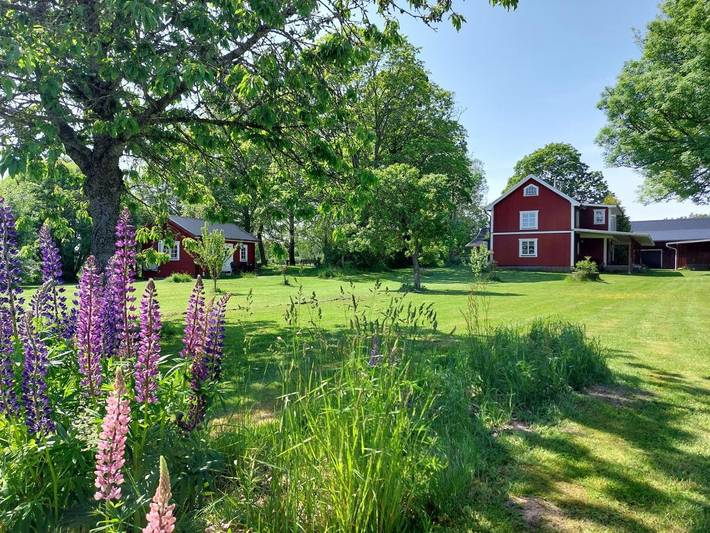 Ferienhaus für 5 Personen, mit Terrasse und Garten sowie Sauna und Ausblick in Gullspang - 4