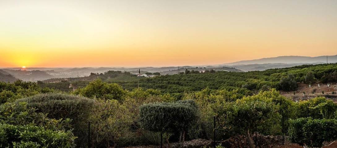 Casa rural para 10 personas, con vistas además de jardín y piscina en Silves - 4