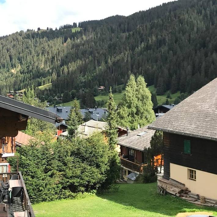 Gîte pour 2 personnes, avec jardin et vue, animaux acceptés dans Morgins - 3