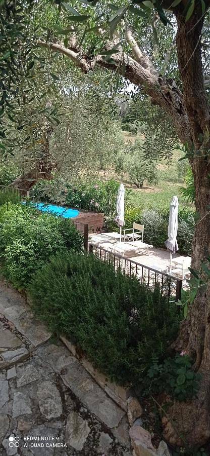 Chambre d’hôte pour 2 personnes, avec jardin ainsi que vue et piscine à Campiglia Marittima - 3