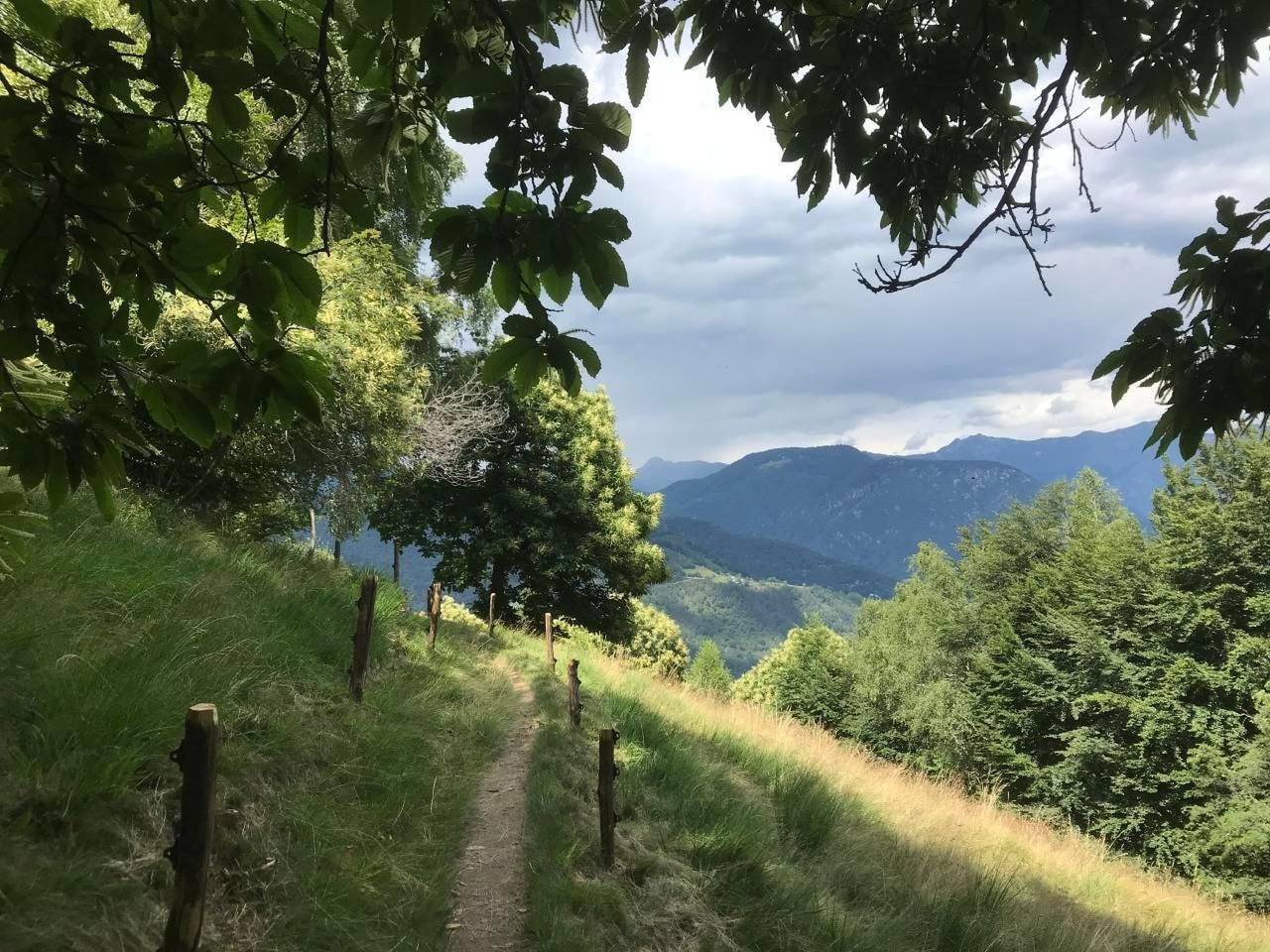 Ganze Wohnung, Typisches Tessiner Landleben im Centovalli in Verdasio, Centovalli