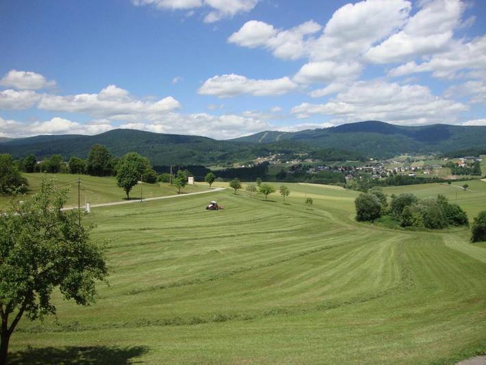 Ferienwohnung für 4 Personen, mit Garten und Ausblick sowie Sauna in Mühlviertel - 4