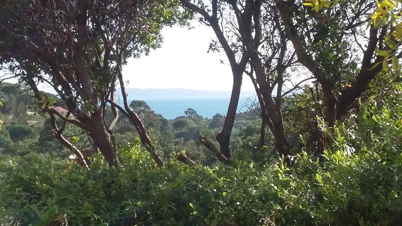 Chambres d'hôtes Massacan, vue mer - Chambre colline vue mer in Le Lavandou, Région de Toulon