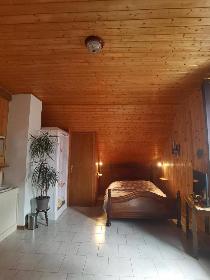 Appartement de vacances entier, Family Room with Mountain View in Goldbach-Altenbach, Parc naturel régional des Ballons des Vosges