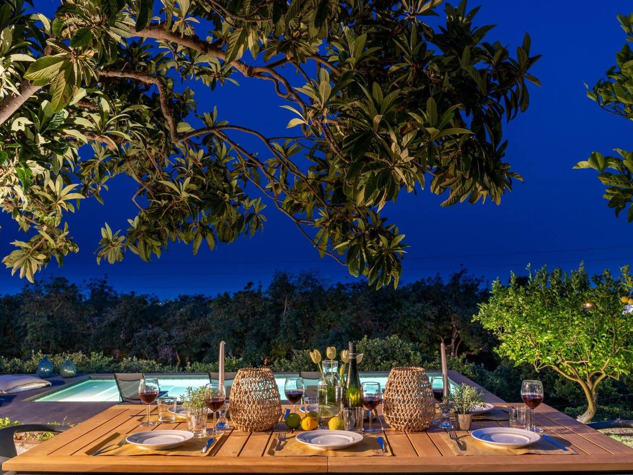 Avocado Garten in Giarre, Ätna