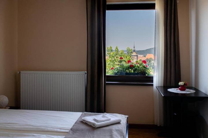 Maison d’hôte pour 3 personnes, avec Terrasse ainsi que Jacuzzi et Jardin dans Sighișoara