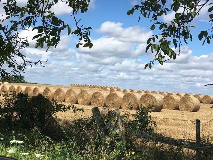 Location de vacances pour 2 personnes, avec jardin ainsi que balcon et vue dans Rivières (Charente) - 3