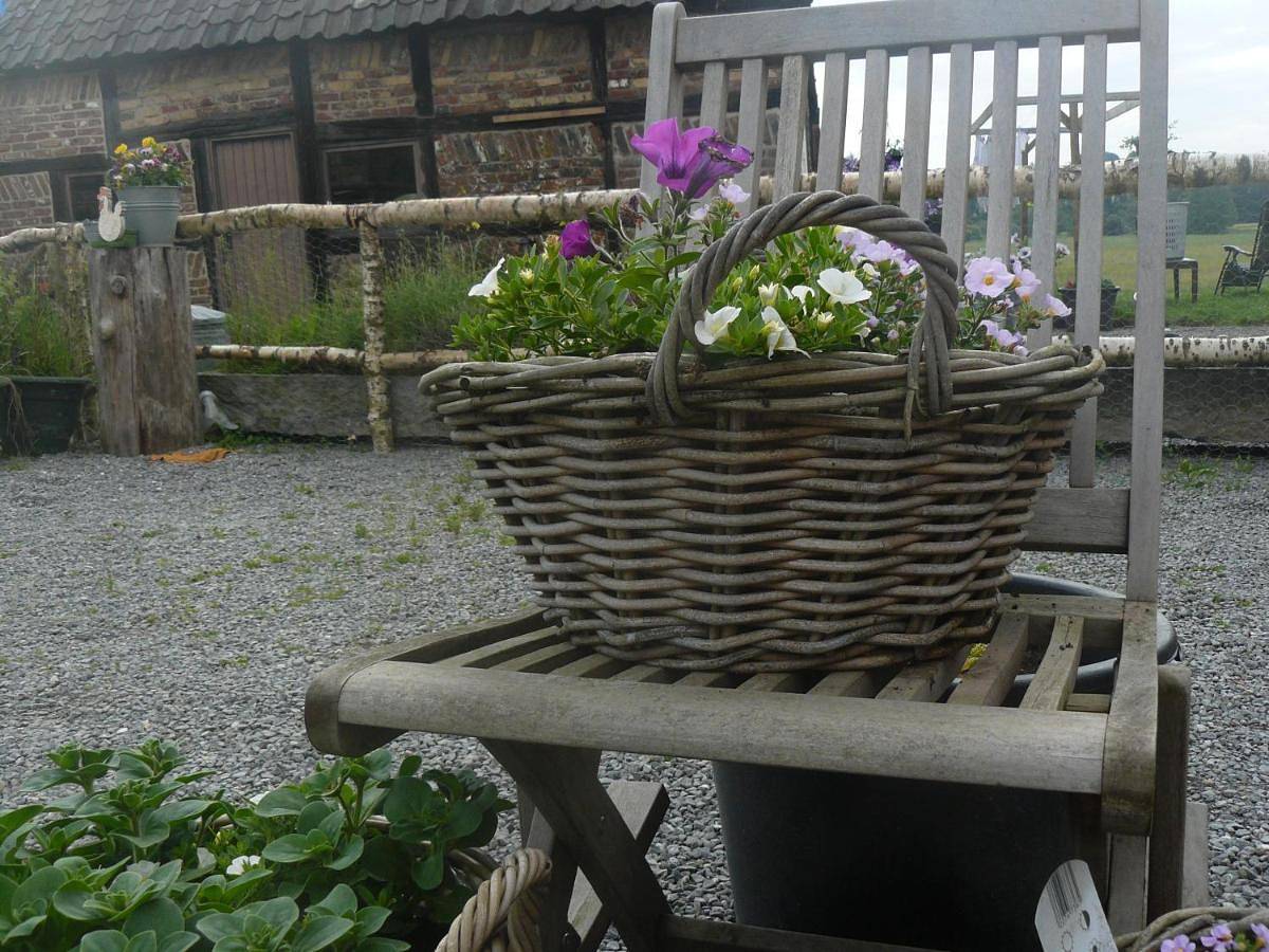 La Fleur et le Soleil in Grandhan, Durbuy