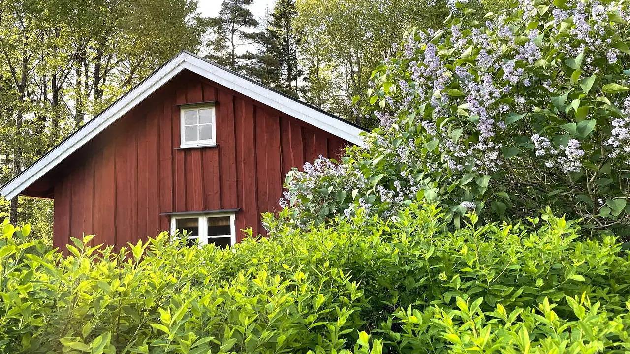 Ferienhaus für 3 Personen (45 m²) in Uddevalla in Dalsland