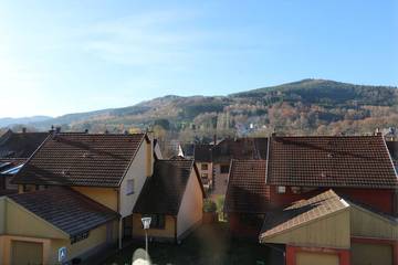 Gîte pour 3 personnes, avec terrasse, animaux acceptés dans Schirmeck