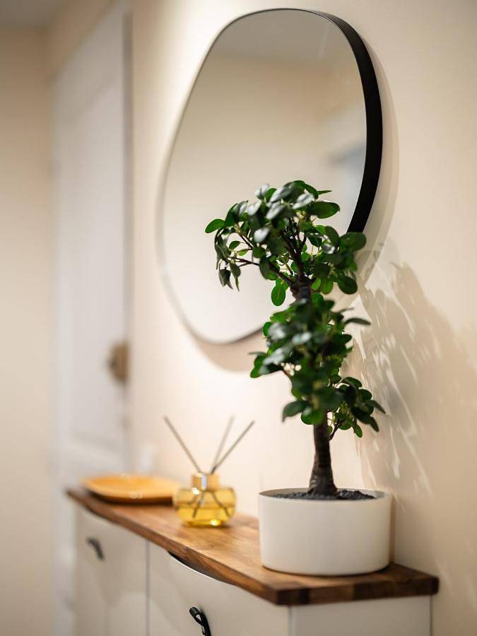 Gîte pour 4 personnes, avec vue, animaux acceptés à Villiers-sur-Marne - 2