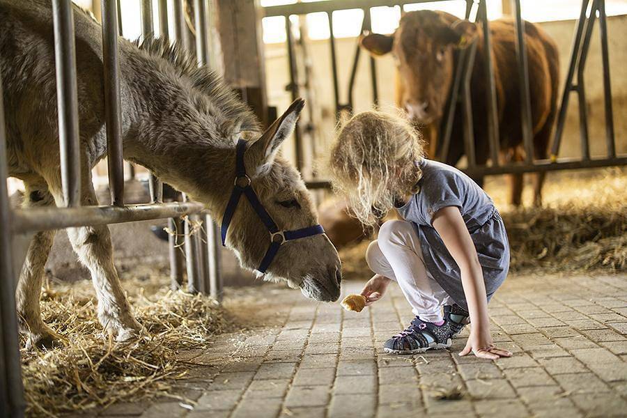 Gerwenshof - Eschendeele, 50 qm, 2 Schlafzimmer, max. 3 Personen in Schmallenberg, Hochsauerlandkreis