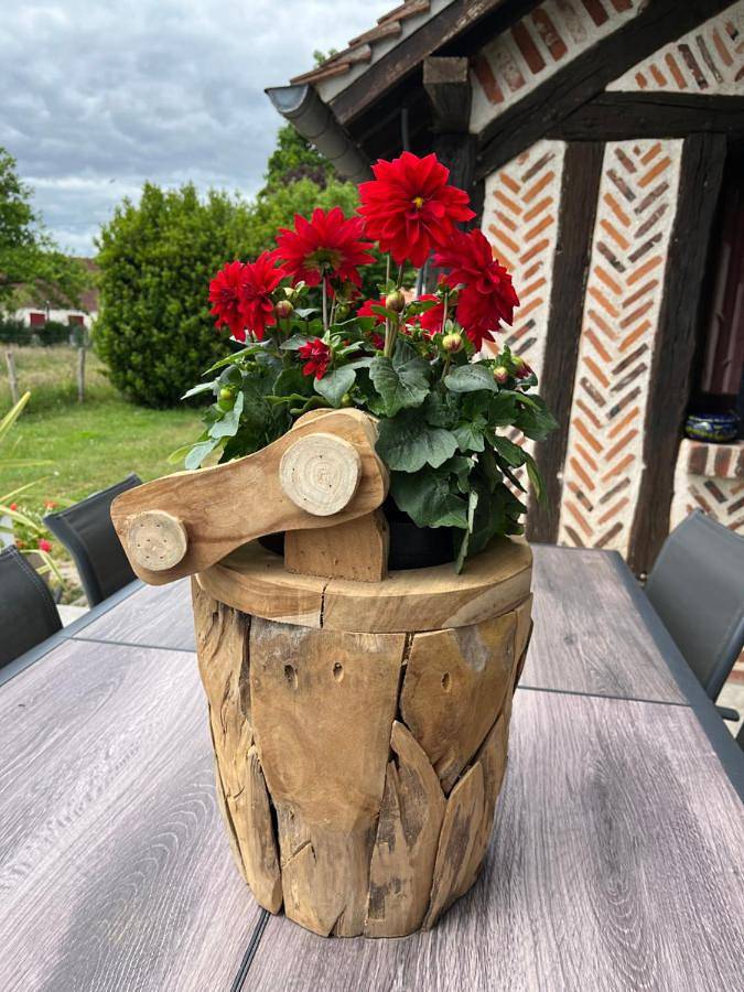 Location de vacances pour 2 personnes, avec terrasse ainsi que vue et jardin à Chaumont-sur-Tharonne - 2