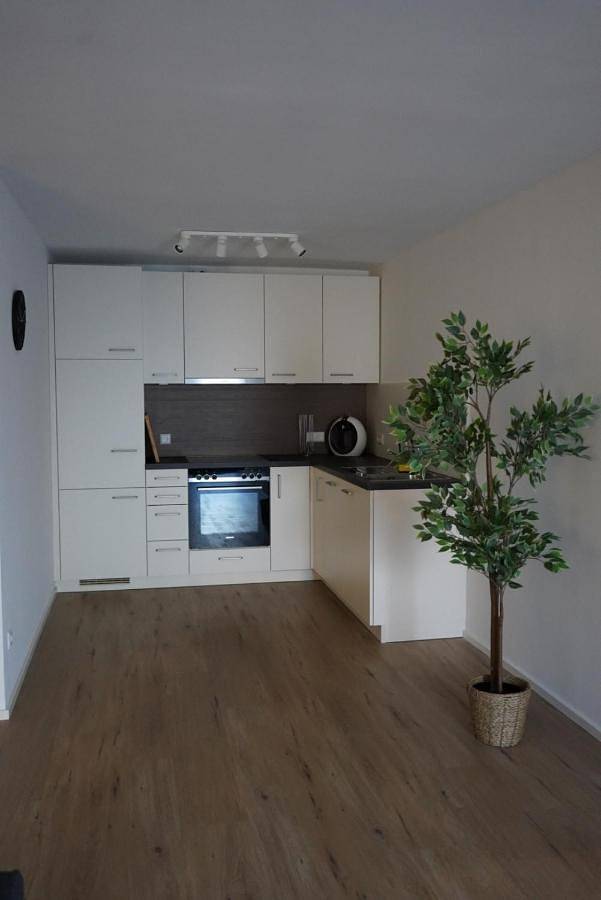 Gîte pour 4 personnes, avec terrasse à Mommenheim - 3